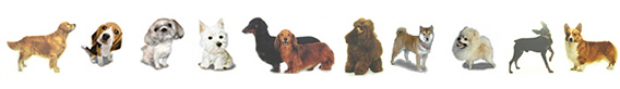 dogwans-6-13-10