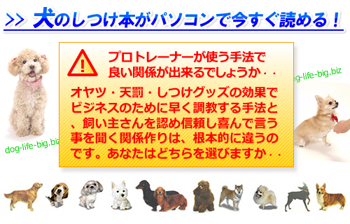 犬のしつけ本がパソコンで今すぐ読める 犬のしつけ本がパソコンで今すぐ読める
